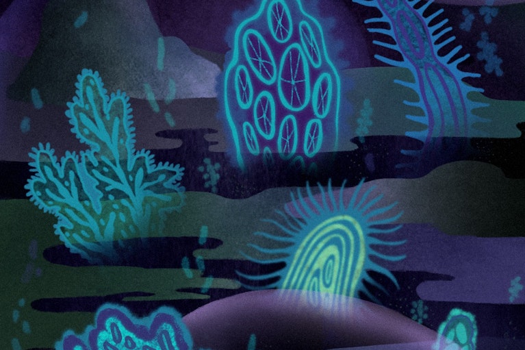 Jesse Zhang 為 Noema 雜誌繪製的插圖。