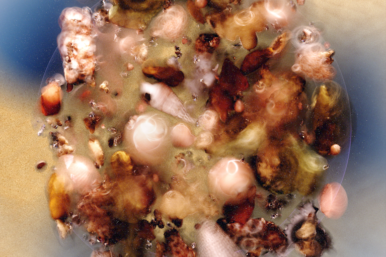 由克里斯蒂安·格倫 (Kristian Glenn) 為 Noema 雜誌繪製的插圖。