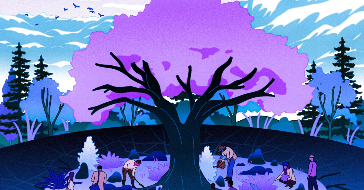 Ecosystem-First Society: Rebuilding for Climate Resilience