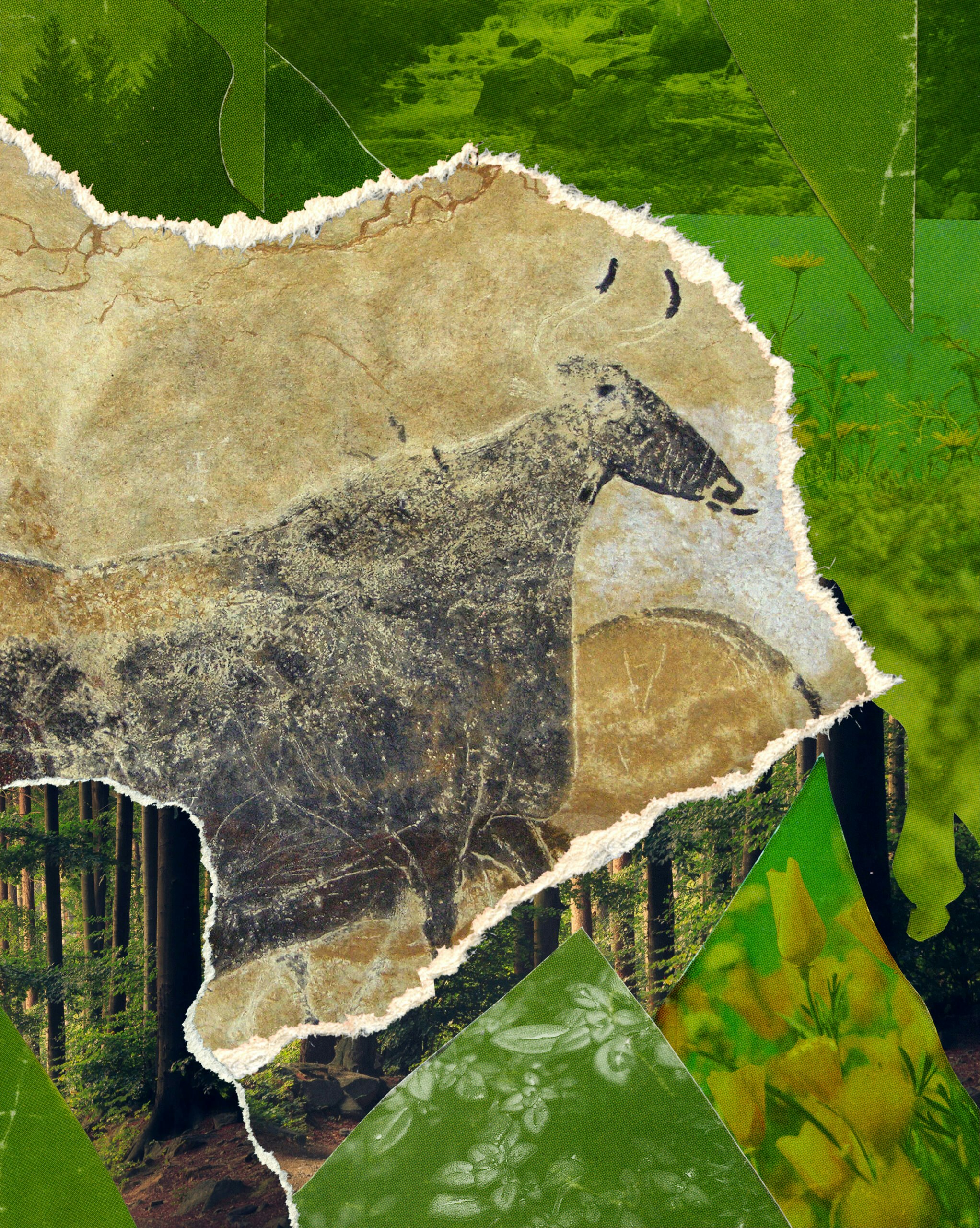 The Creativity of the Biosphere